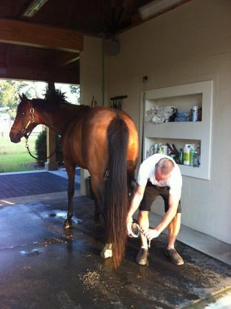 Grooming-Stall-Lucas