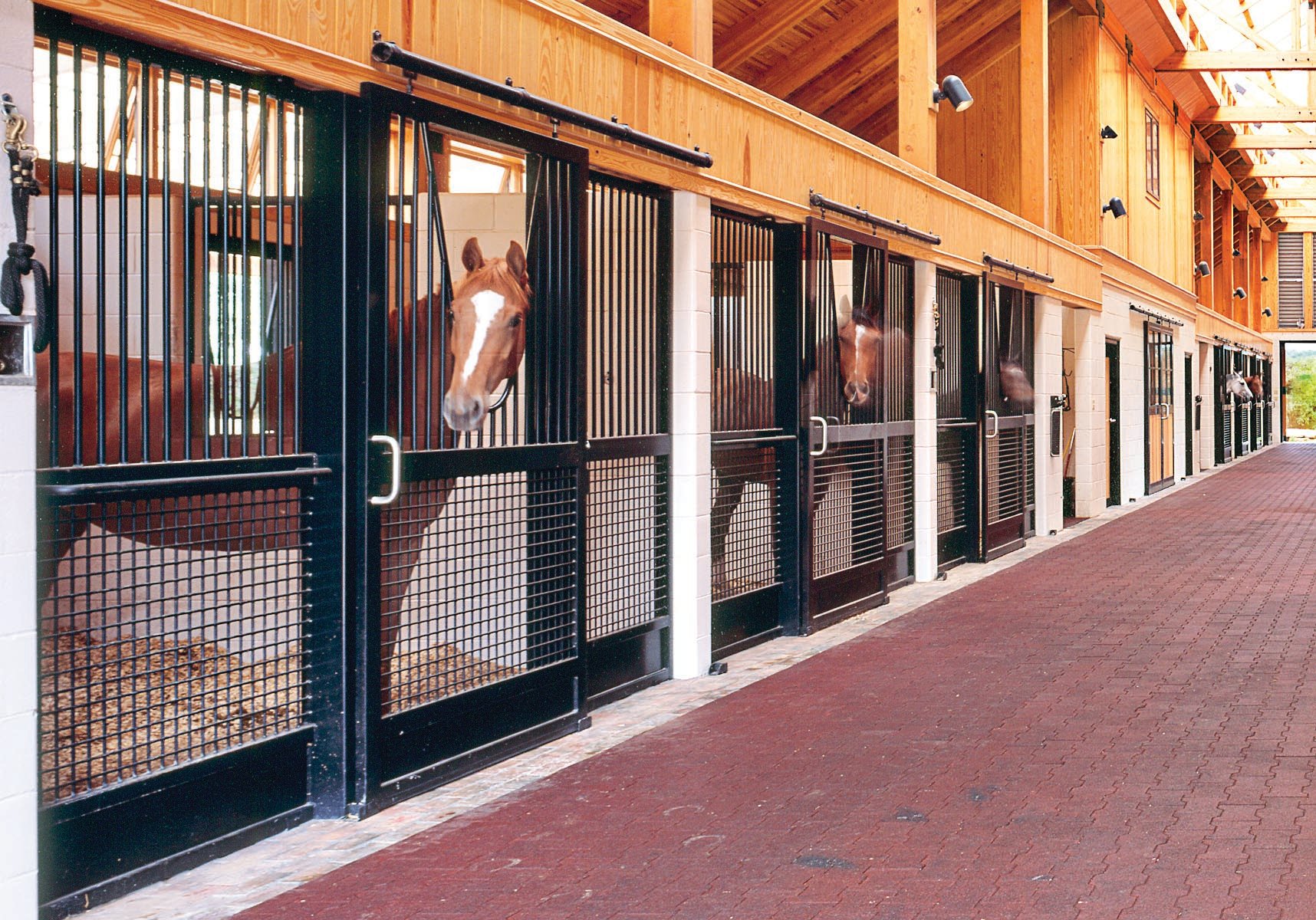 Stall Front Systems Horse Stalls Barn Doors Stables Equine