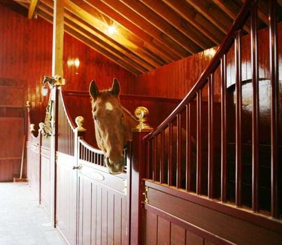 Horse Stall Barrington