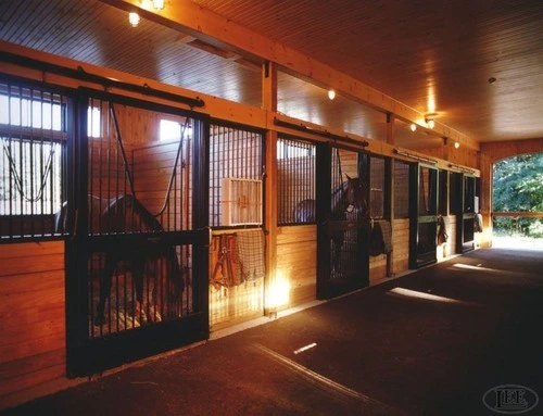 barn aisle with two horses standing by illuminated stalls