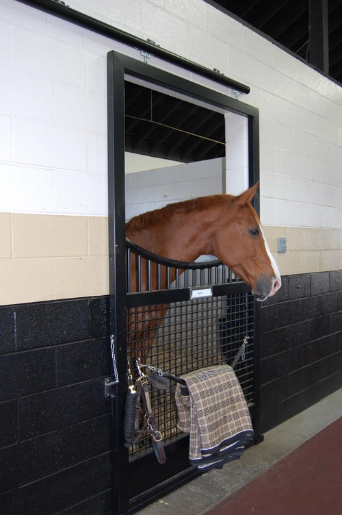 Chestnut horse with white blaze extending head over black vertical bar stall door