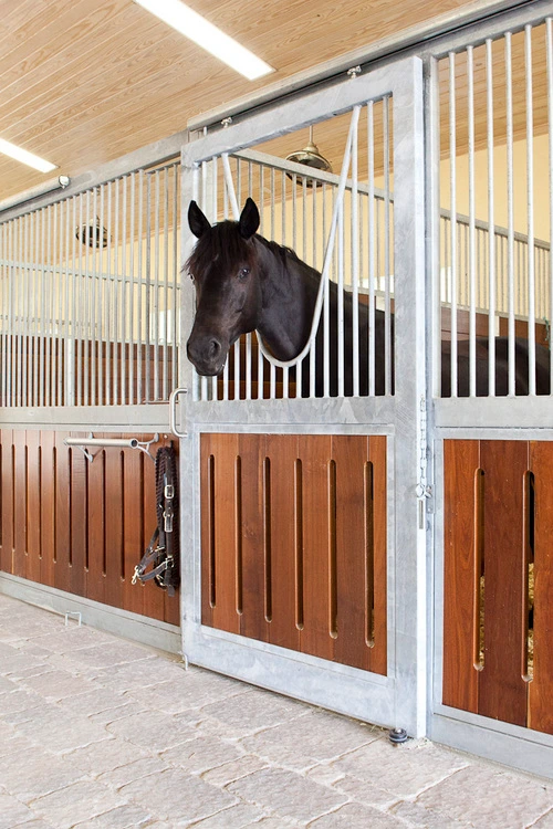 Three adjacent stall fronts with black horse extending head, natural pine and white lower panels
