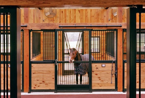 Rich mahogany and black stall front with horse being groomed in natural pine interior