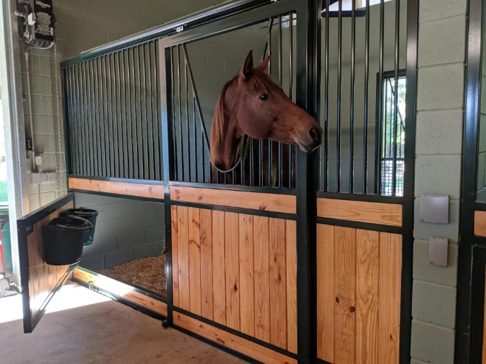Brown horse extending head over natural pine stall front with black vertical bar upper grill