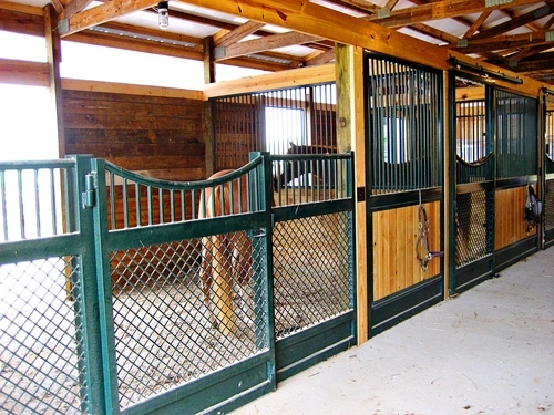 Teal metal stall fronts with wire mesh doors in white interior barn with green ceiling accents