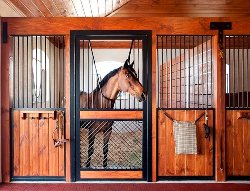 Rich mahogany stall front with wire mesh panel and cross-tied horse standing in barn aisle