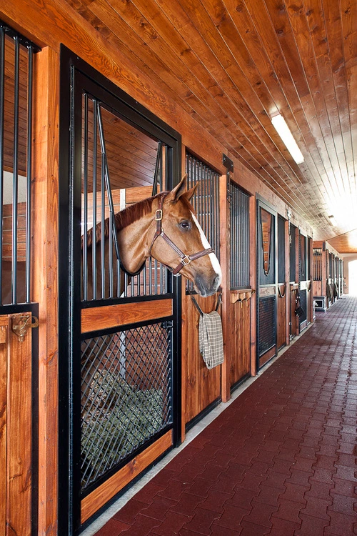 Covered barn aisle with mahogany stall fronts, black vertical bar upper grills and horses extending heads