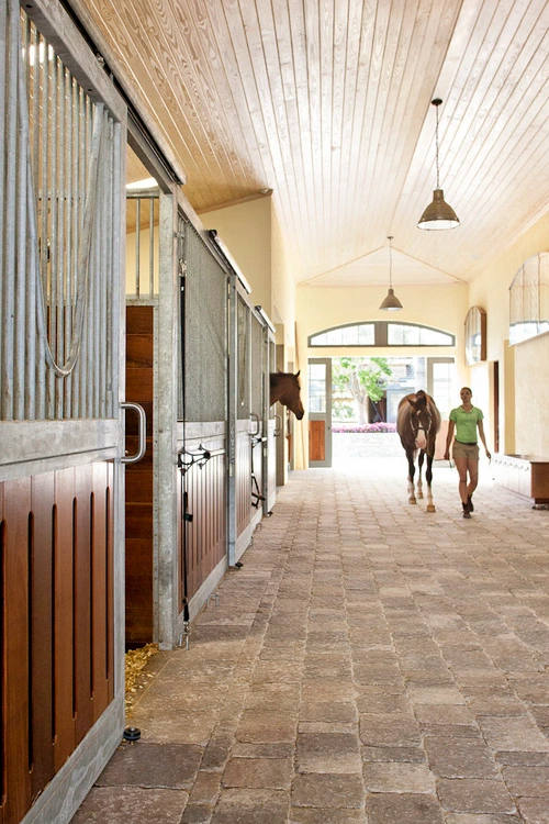 Cream interior with gray stall front, corrugated metal upper section and handlers with horse