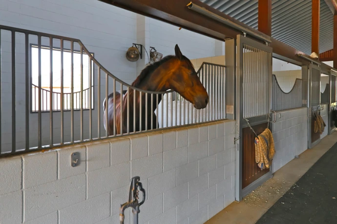 Gray lower stall fronts with black vertical bar upper grills and chestnut horse extending head over partition