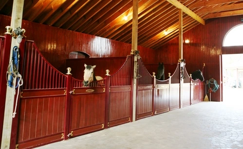 Rich mahogany stall fronts with corrugated metal upper grills in bright white barn with exposed beams