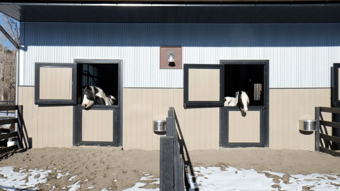 White metal barn exterior with black Dutch doors featuring solid lower panels and horses visible in openings