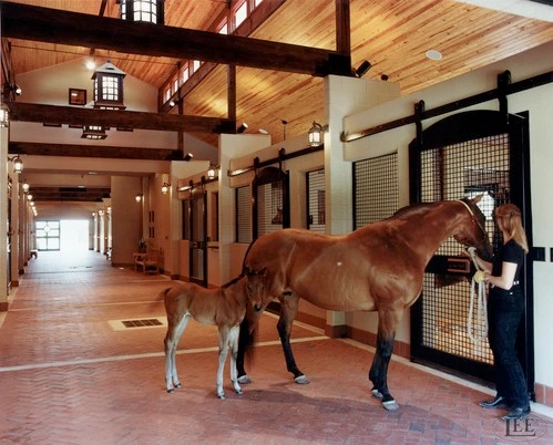 Chestnut horse being handled in barn aisle with black arched stall doors featuring wire mesh panels