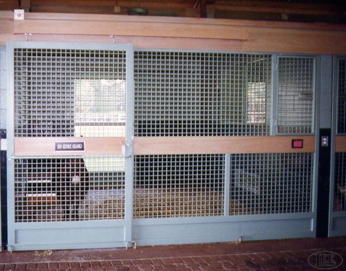 White painted stall front with wire mesh panels and horizontal divider bar
