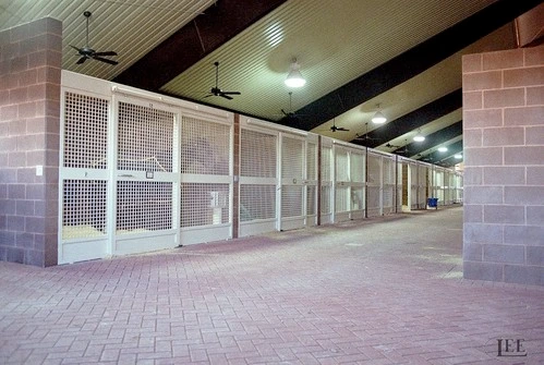 Covered barn breezeway with white framed stalls featuring wire mesh panels and ceiling fans