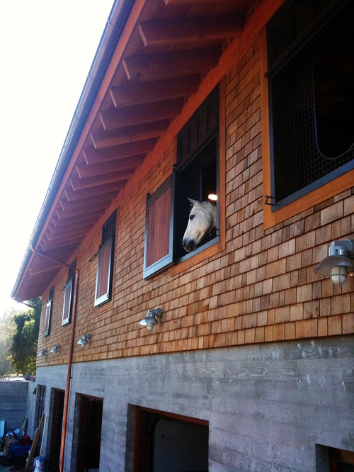 Brown cedar shake exterior with gray horse head visible in barn window opening