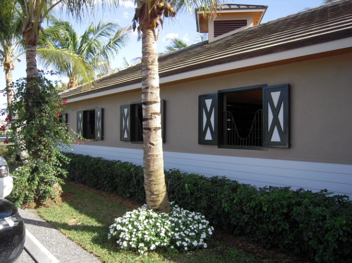 White stucco building facade with three windows featuring gray X-pattern shutters and palm trees