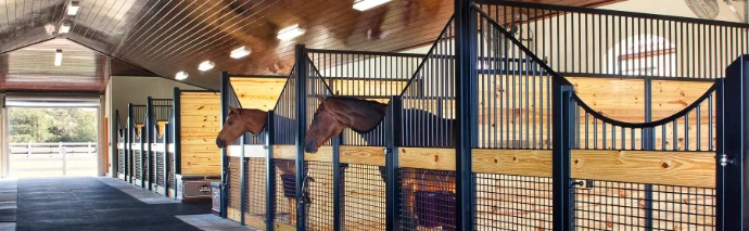 Black metal stall fronts with natural wood lower panels and horses extending heads from stalls in timber-frame barn with yellow lighting