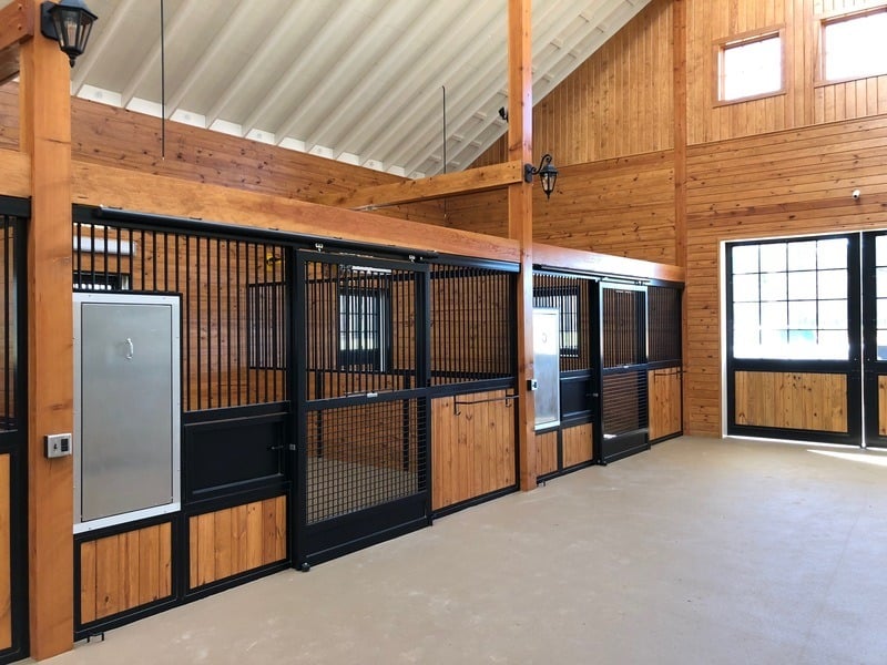 Modern bright barn with black metal stall fronts, natural wood lower panels and large windows